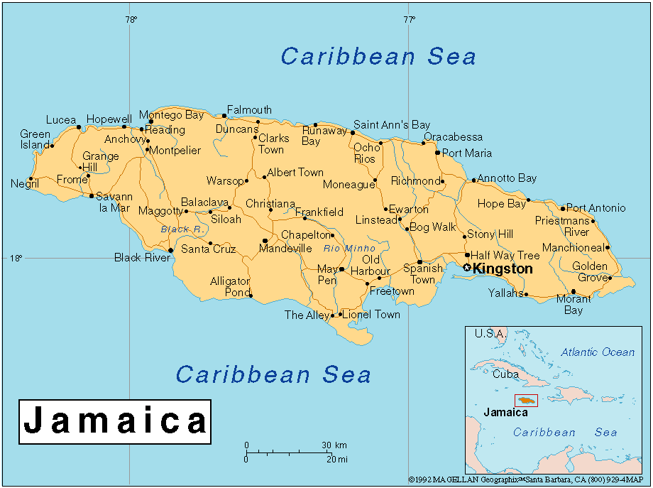 google maps jamaica