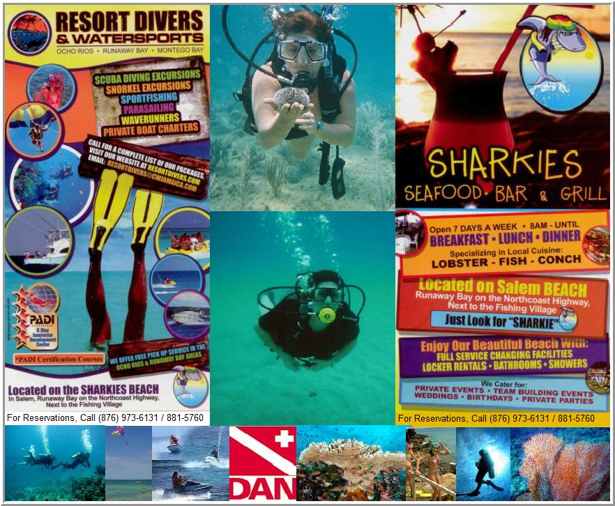 Resort divers`Water sports